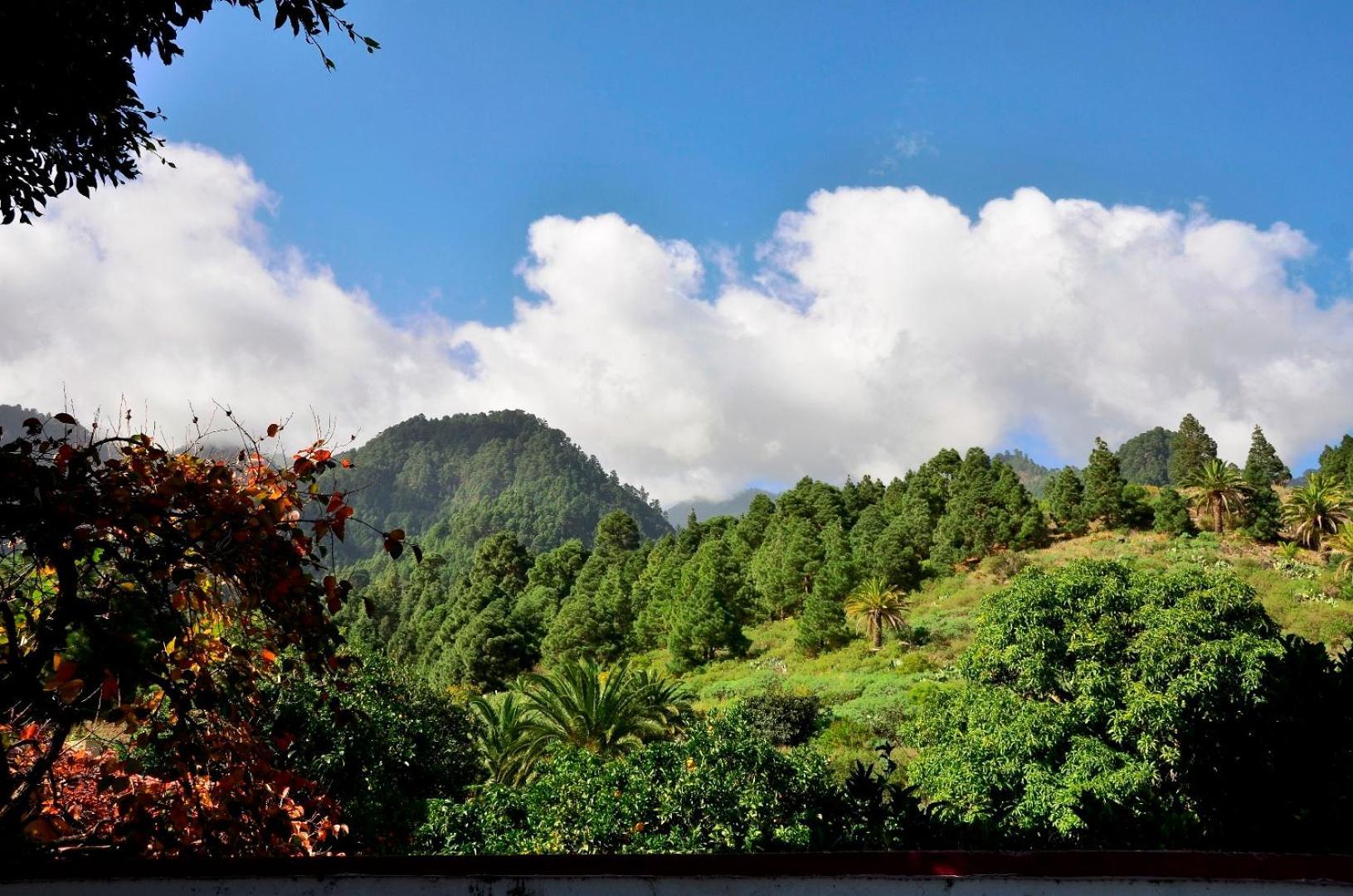 Casa Finca Avocado Los Llanos De Aridane Eksteriør bilde